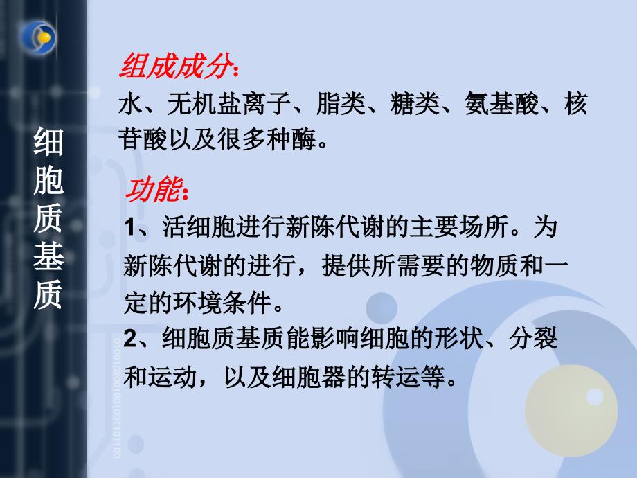 细胞质与细胞结构与功能.ppt_第4页