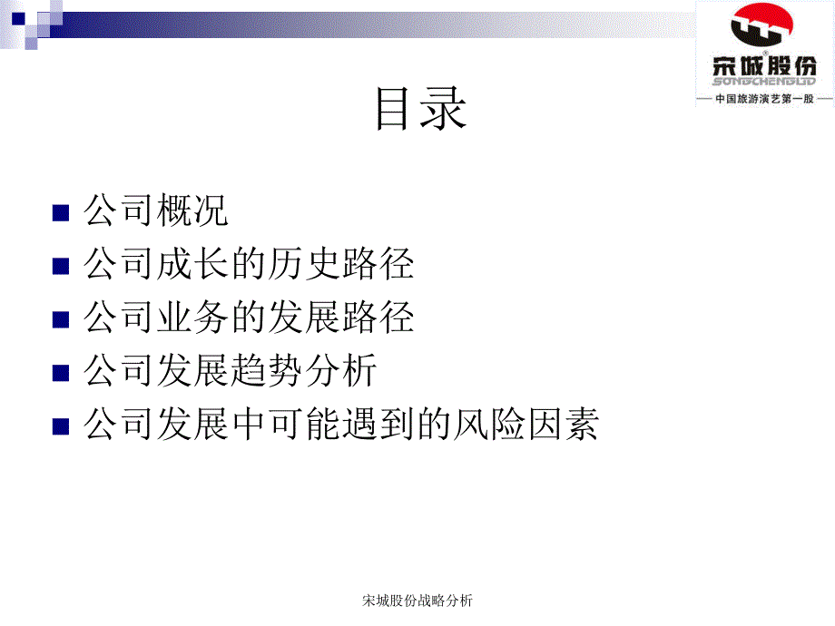 宋城股份战略分析课件_第2页