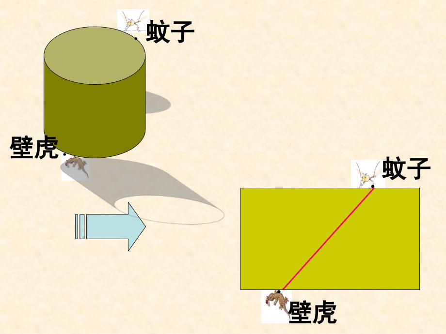 立体图形的展开图使用_第3页