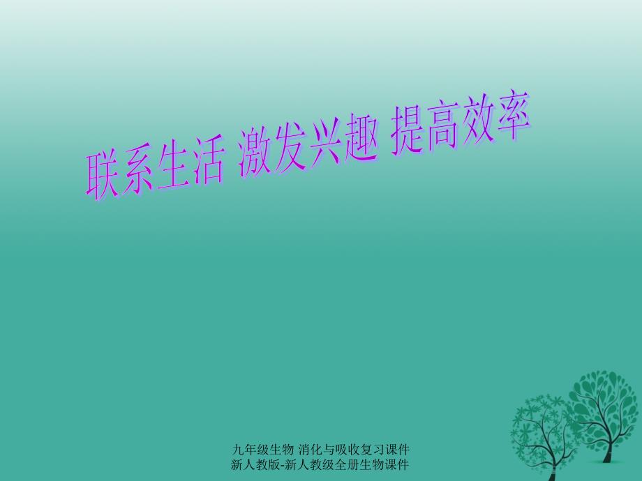 最新九年级生物消化与吸收复习课件新人教版新人教级全册生物课件_第1页