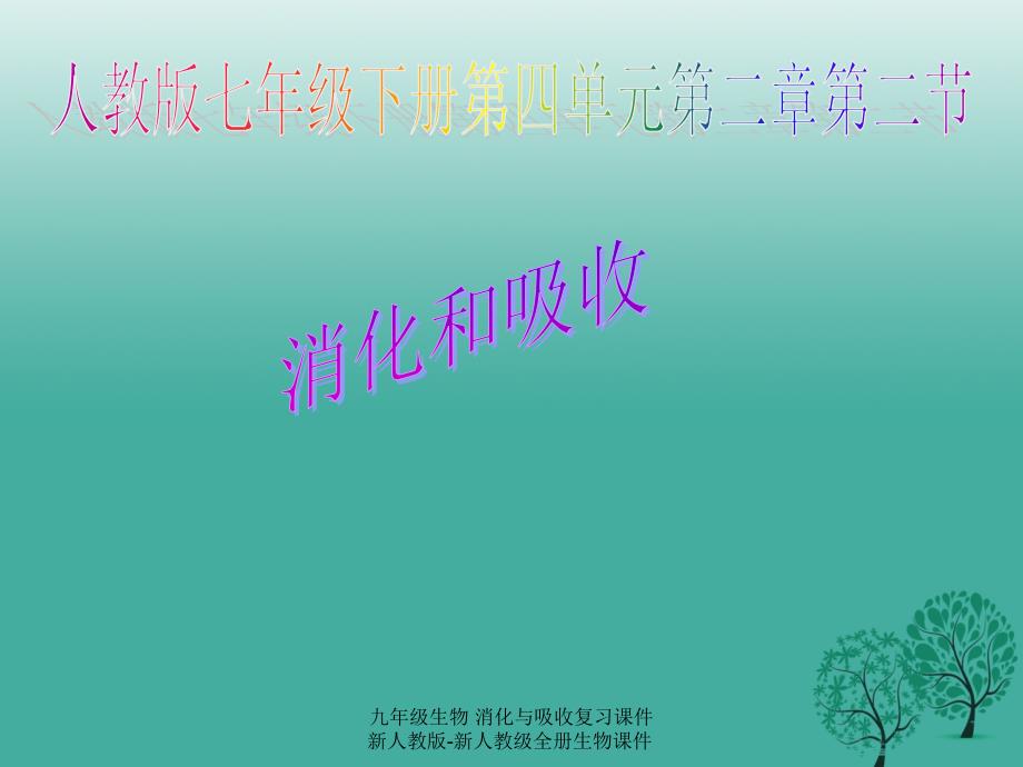 最新九年级生物消化与吸收复习课件新人教版新人教级全册生物课件_第2页