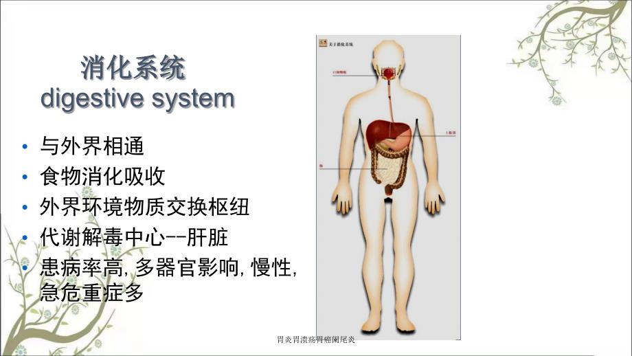 胃炎胃溃疡胃癌阑尾炎_第2页