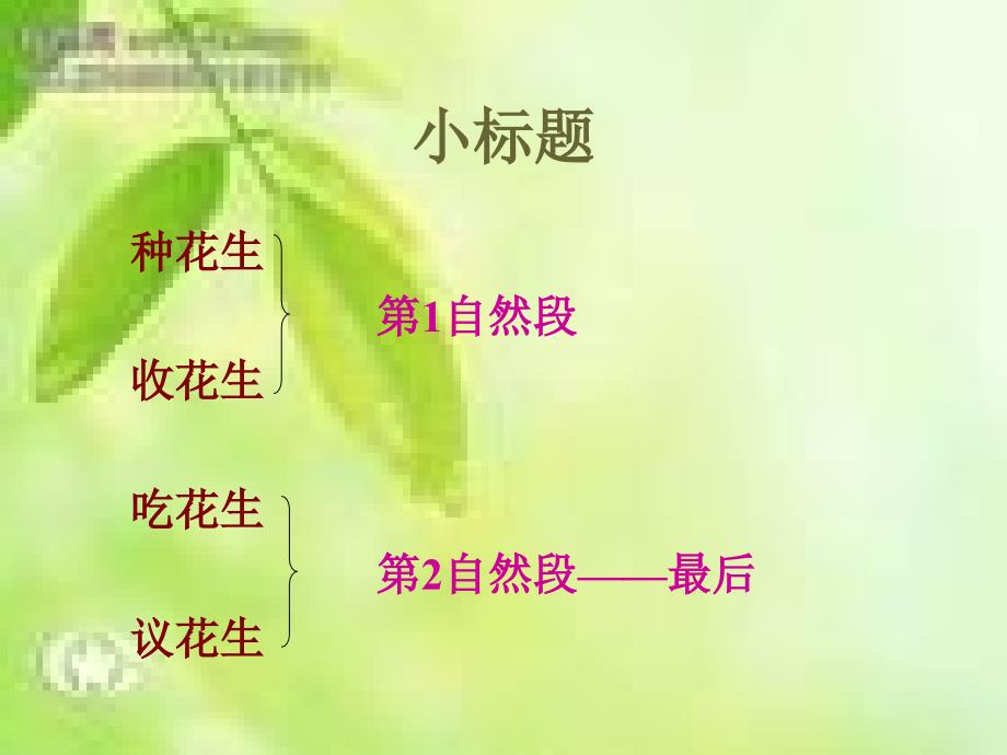 《落花生》课件1_第4页