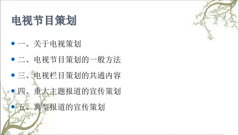 电视节目策划方案PPT课件课件_第2页