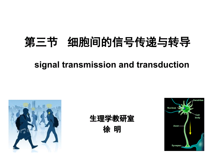 细胞间的信传递与转导_第2页