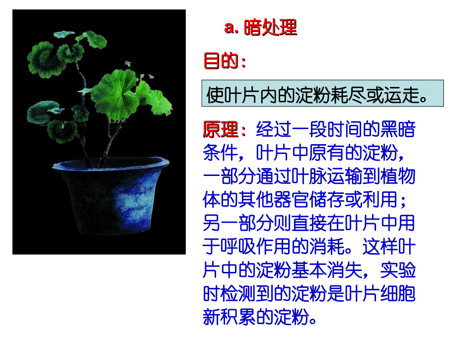 _光合作用的实验_第4页