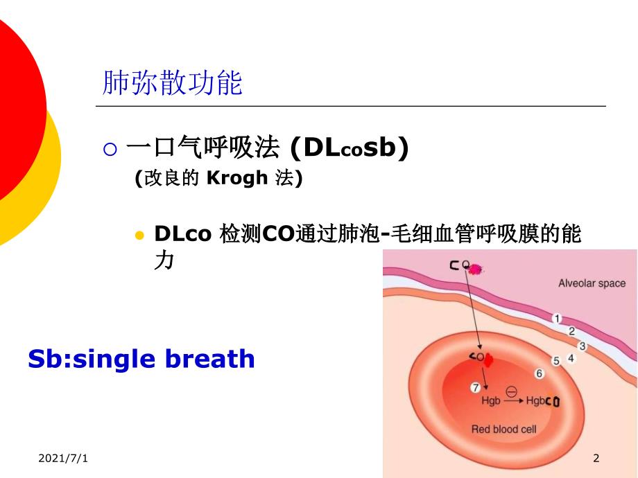 肺弥散功能检查_第2页