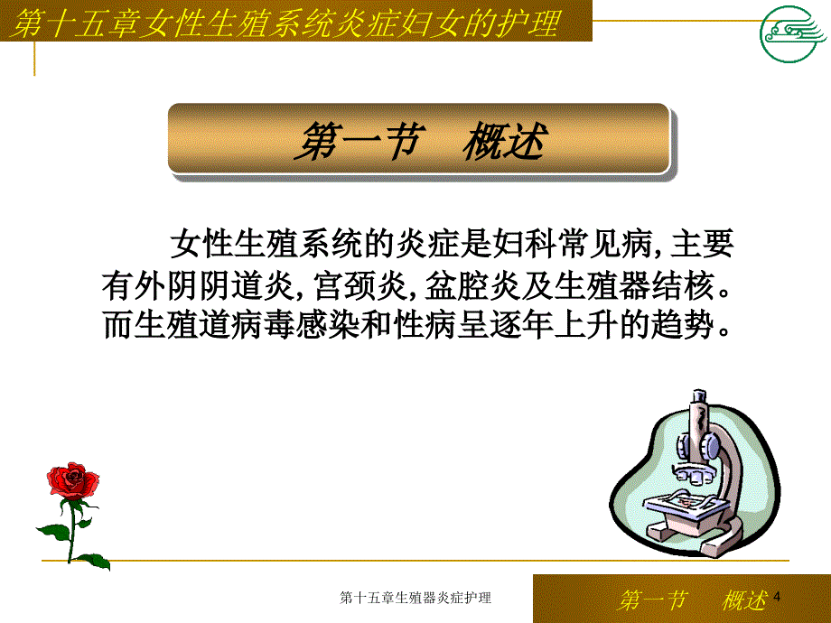 第十五章生殖器炎症护理课件_第4页