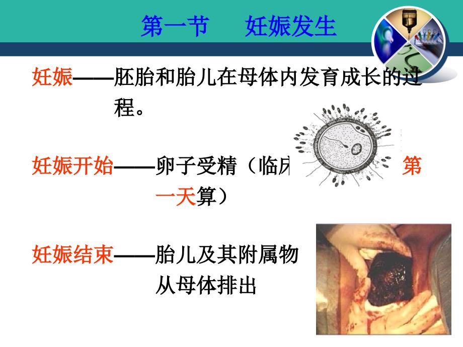 梁微妊娠期妇女的护理ppt课件_第4页