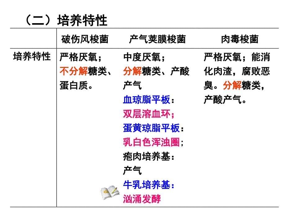 第12章厌氧性细菌_第5页