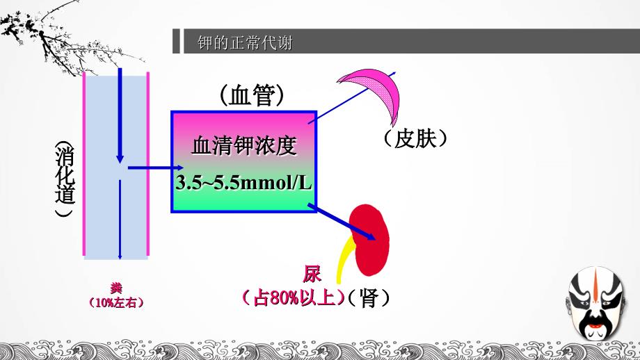 低钾和高钾血症的护理PPT课件_第3页