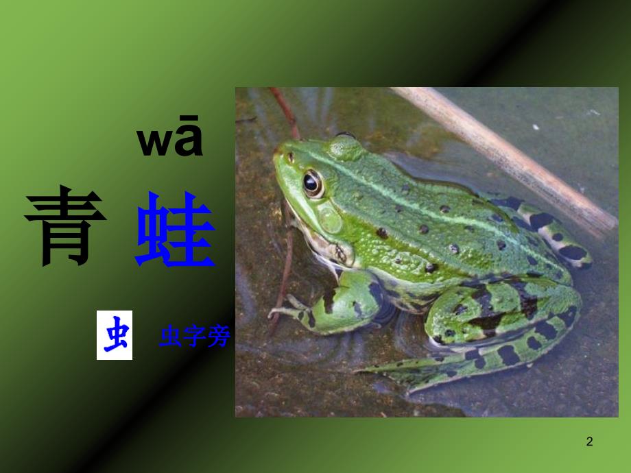 汉家(一)青字家族(课堂PPT)_第2页