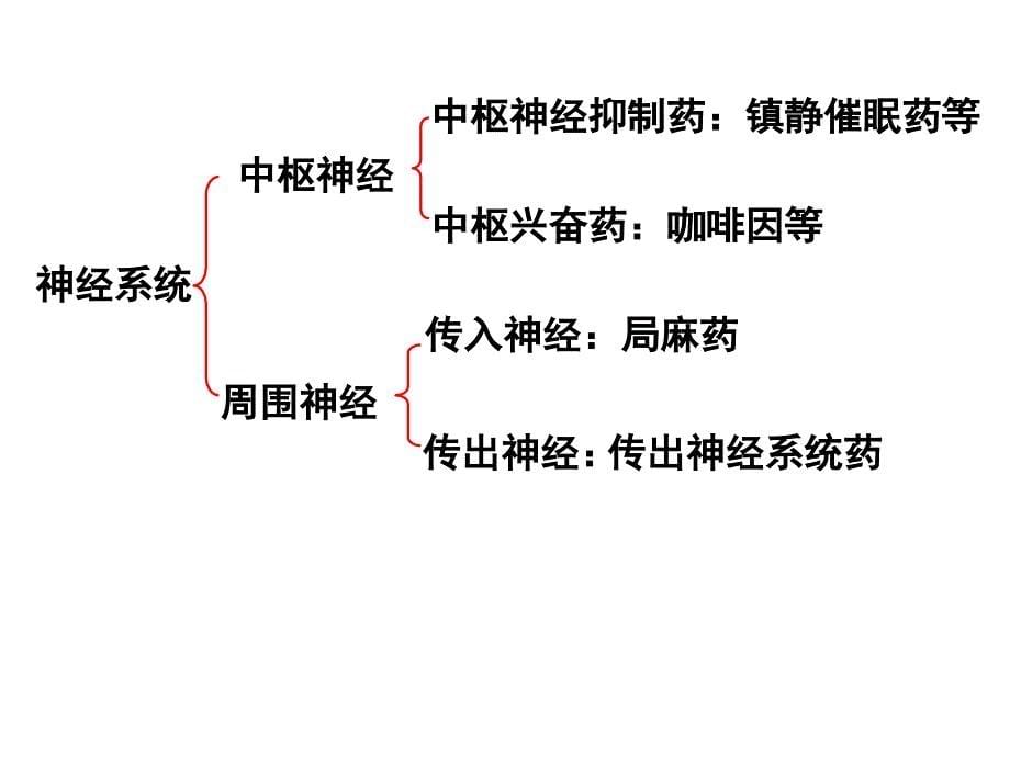 药理学课件：第五章传出神经系统药理概论_第5页