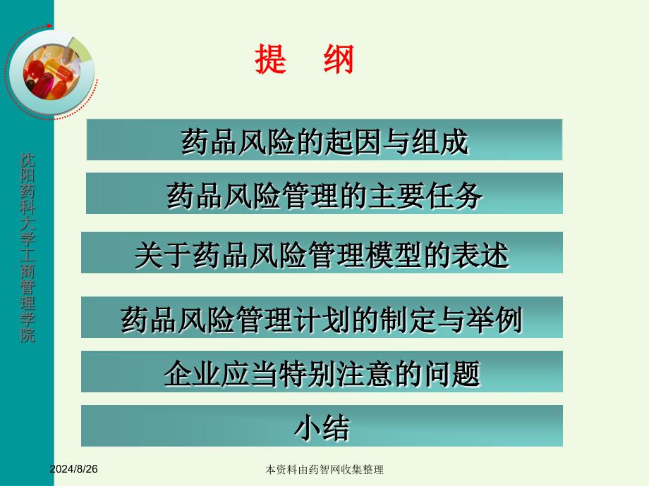 药品风险管理计划研究与制定培训教材_第2页