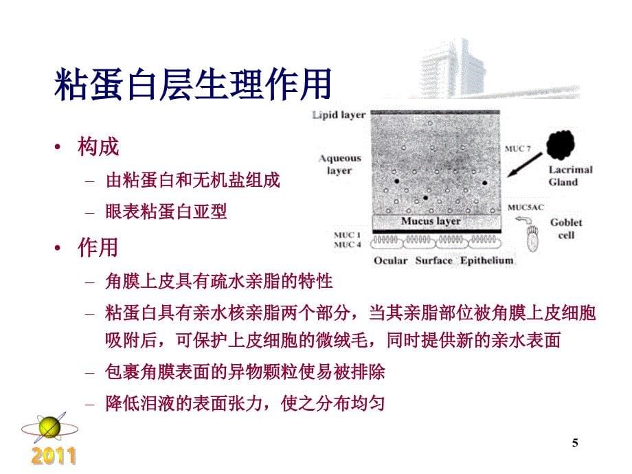 干眼症患者必看干眼症诊断和治疗讲诉_第5页