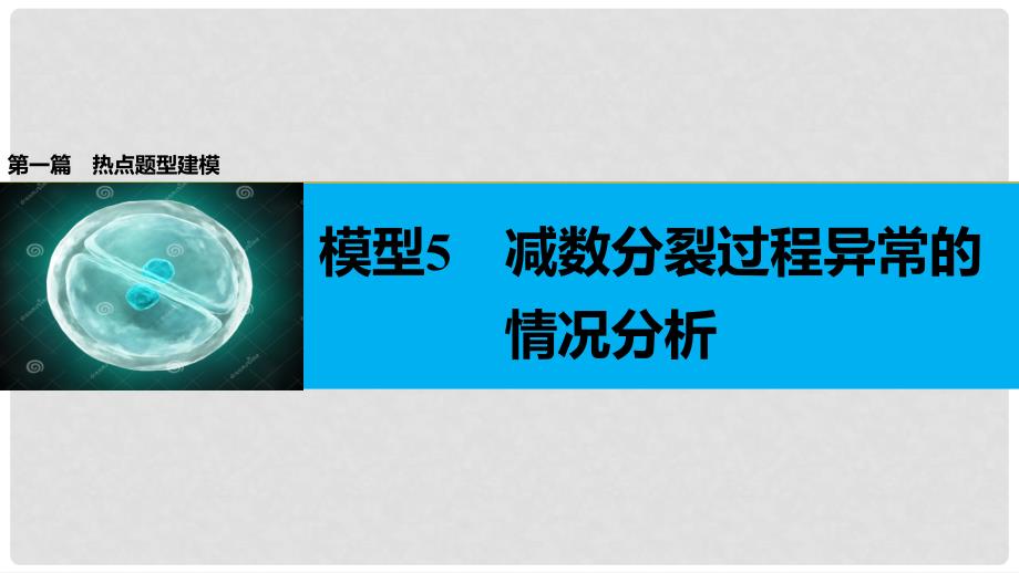 高考生物大二轮专题复习与增分策略 热点题型建模 模型5 减数分裂过程异常的情况分析课件_第1页