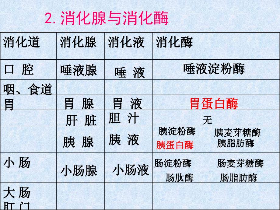 第六节-人和动物体内三大营养物质的代谢课件_第4页