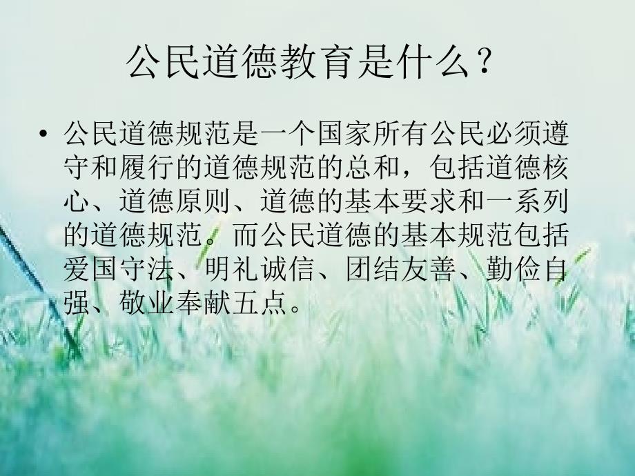 公民道德教育是什么_第2页