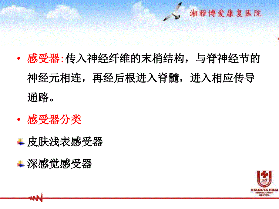 感觉与知觉障碍和运动的关系.课件_第3页