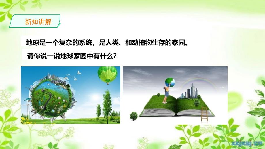 二年级科学上册1.1地球家园中有什么课件教科版教科版小学二年级上册自然科学课件_第3页