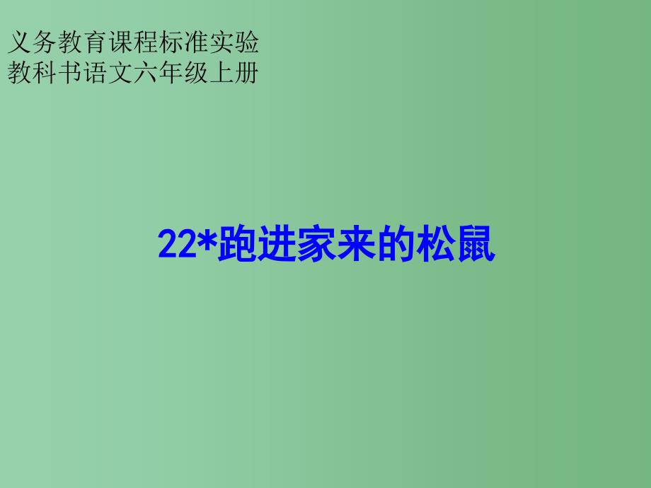 六年级语文 跑进家来的松鼠2课件 人教新课标版_第1页