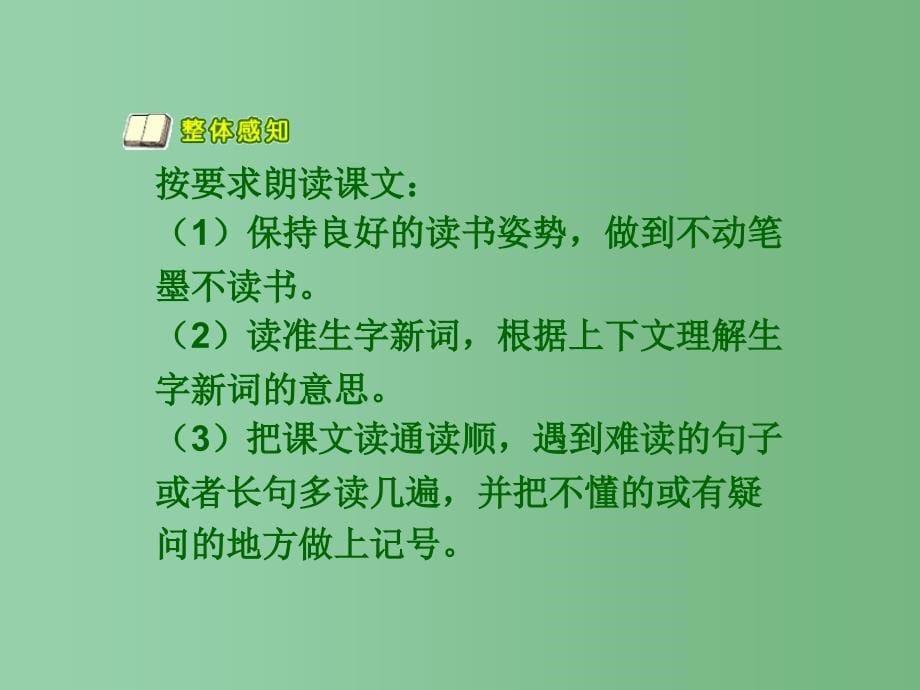 六年级语文 跑进家来的松鼠2课件 人教新课标版_第5页