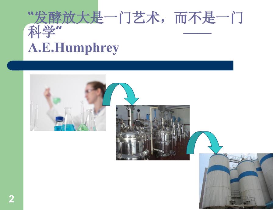 生物反应器的比拟放大.ppt_第2页