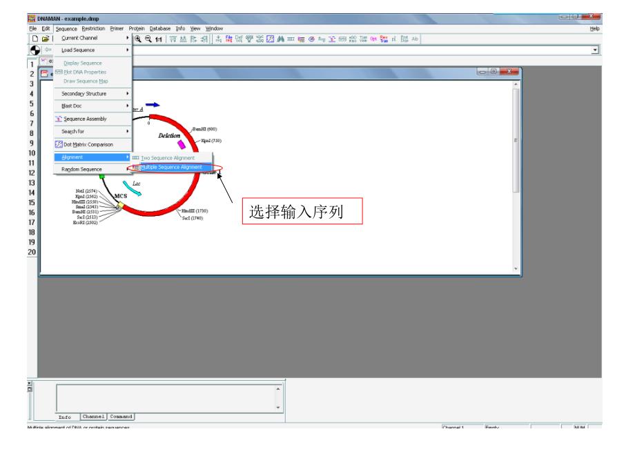 如何使用DNAMAN软件制作序列比对图发表论文用_第2页
