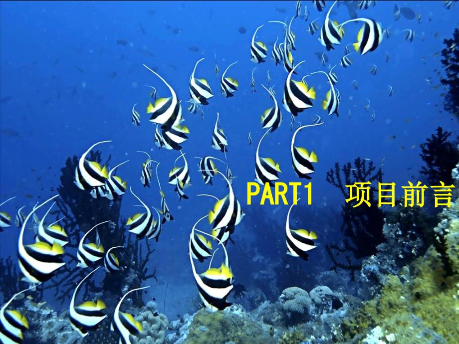 大型户外体验移动海洋动物馆展览_第4页