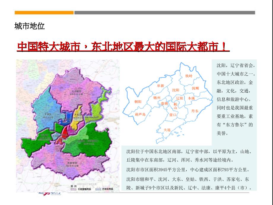 沈阳市国御温泉度假小镇项目发展研究报告_第3页