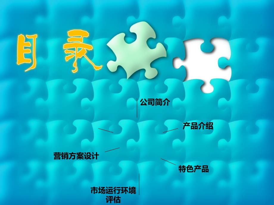 豆豆熊童车制造有限公司——营销策略.ppt_第2页