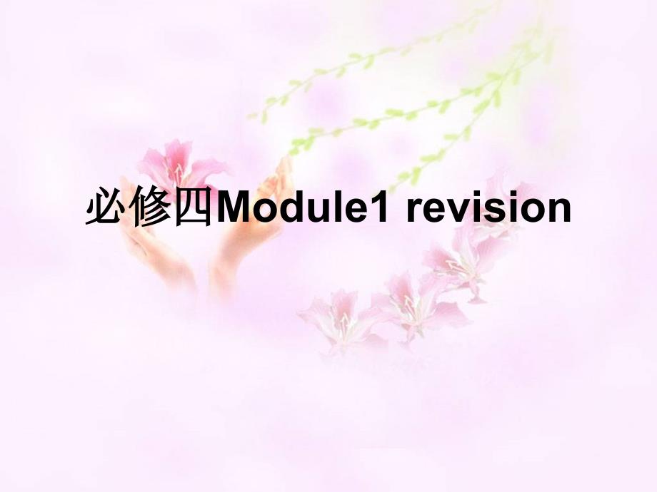 必修四module1单元词汇复习28张_第1页