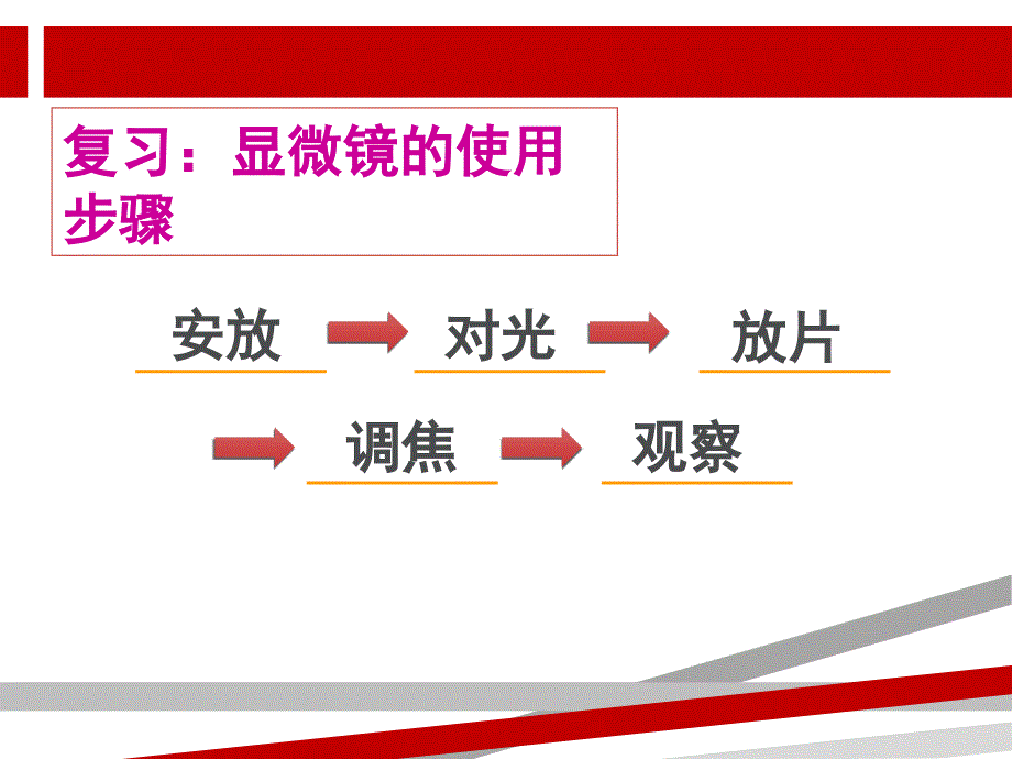 洋葱表皮细胞的制作和观察.ppt课件_第2页