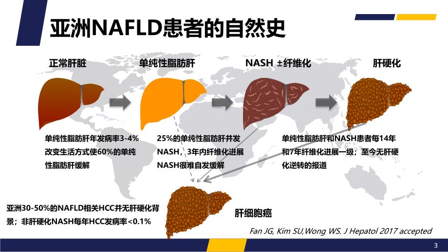 2018版非酒精性脂肪性肝病防治指南解读ppt课件.ppt_第3页