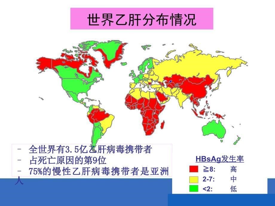 病毒性肝炎 ppt课件_第5页