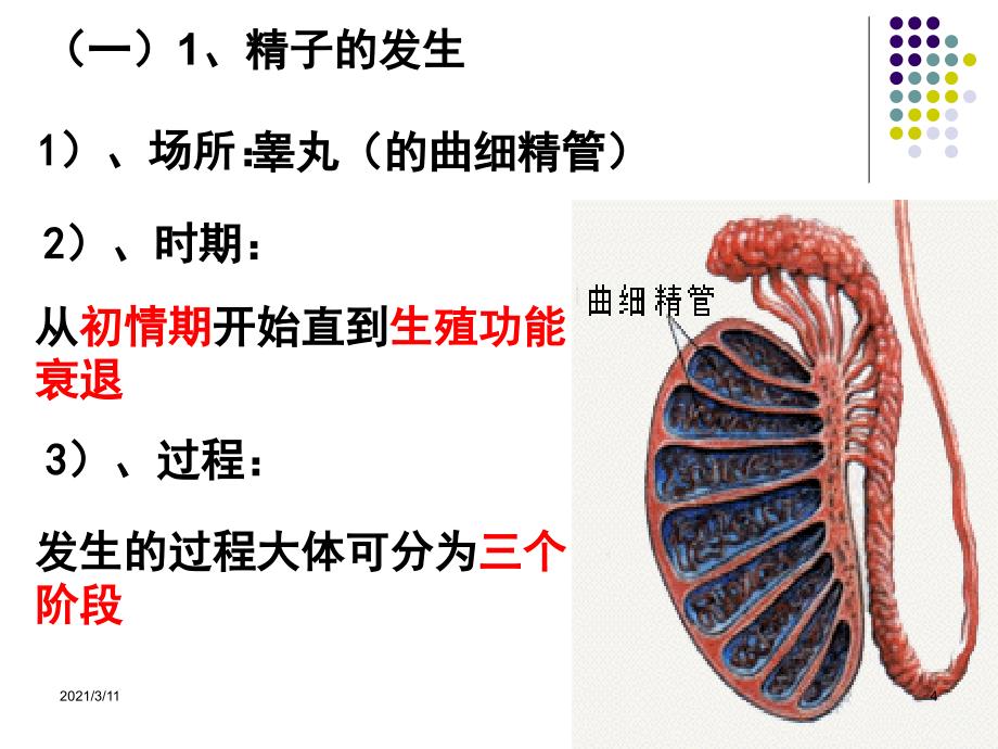 胚胎工程一轮复习课件_第4页