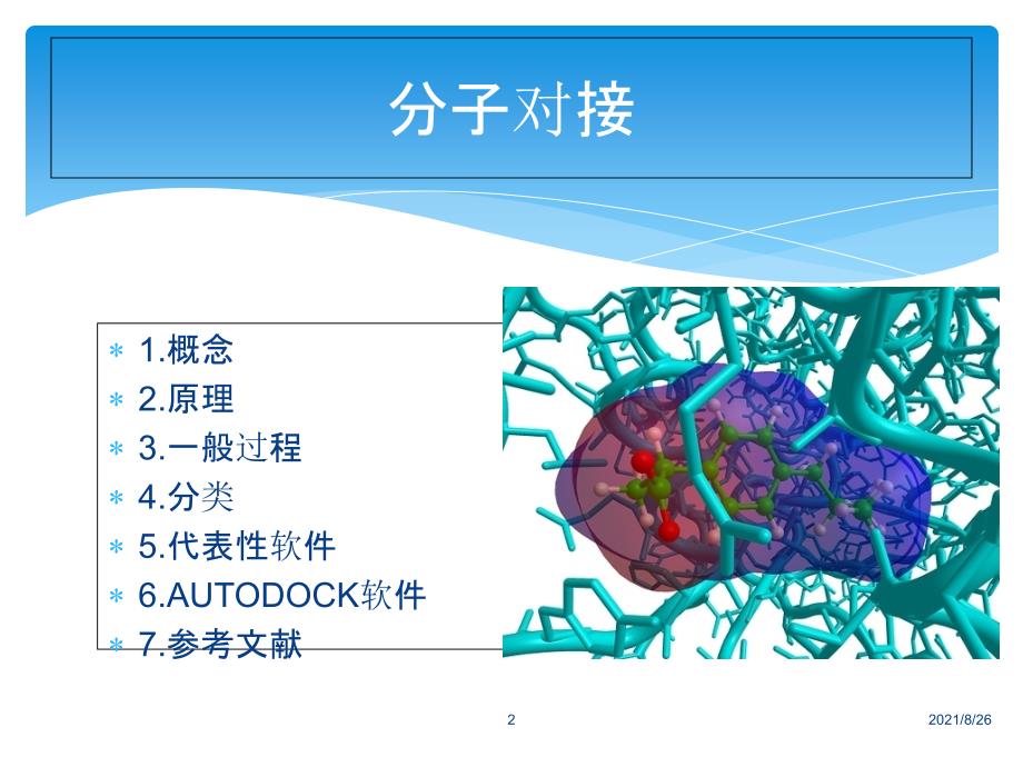 分子对接的原理方法及应用课件PPT_第2页