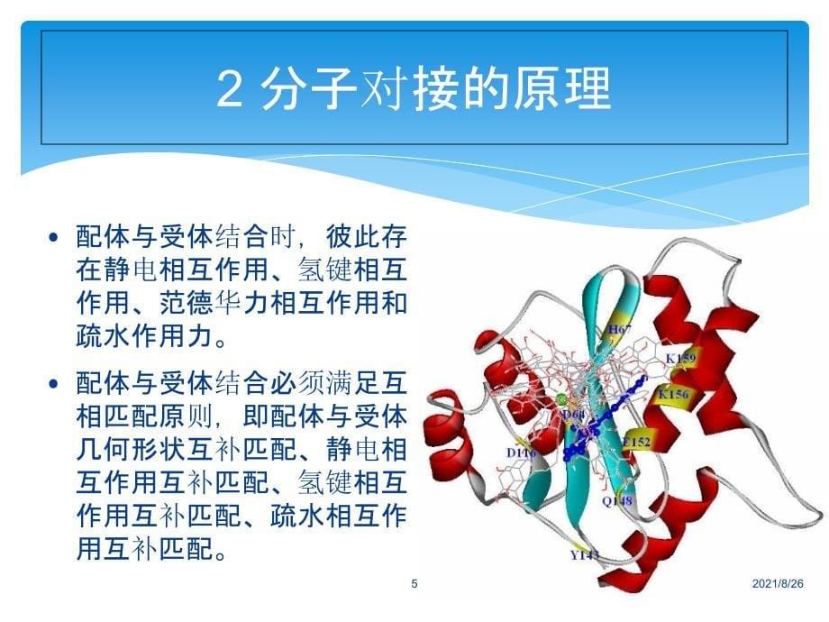 分子对接的原理方法及应用课件PPT_第5页