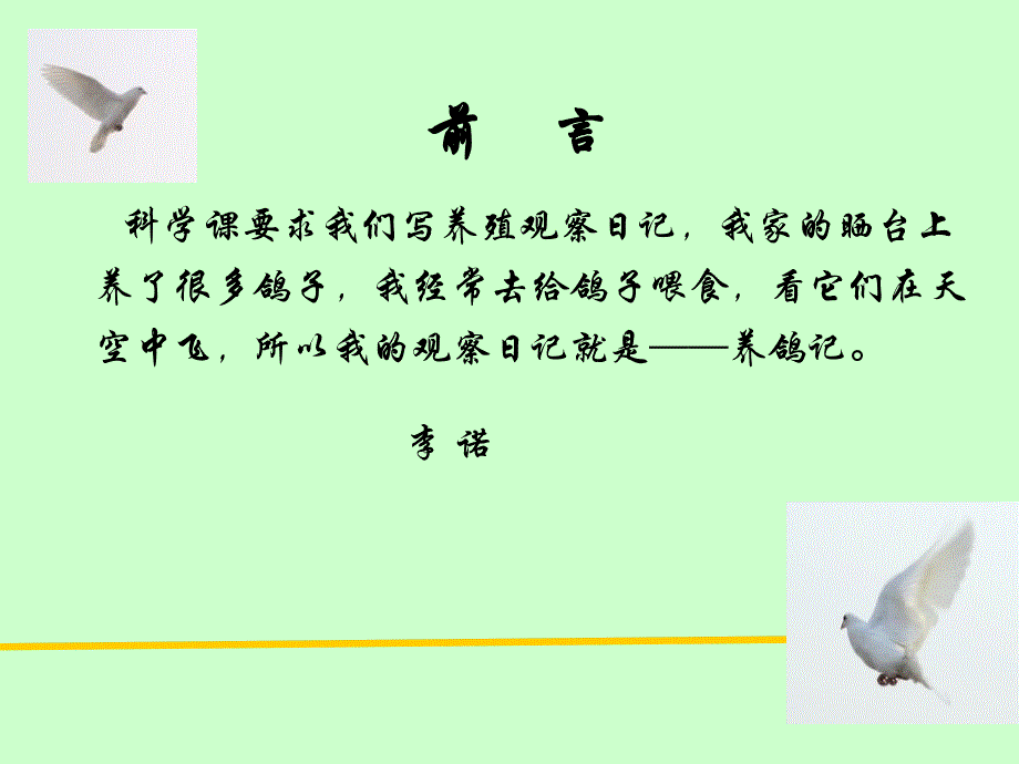 科学养殖日志养鸽记.ppt_第2页