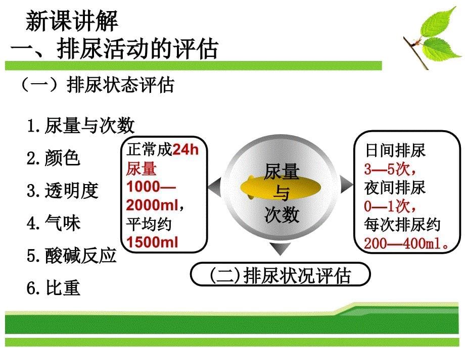 新版排尿护理_第5页