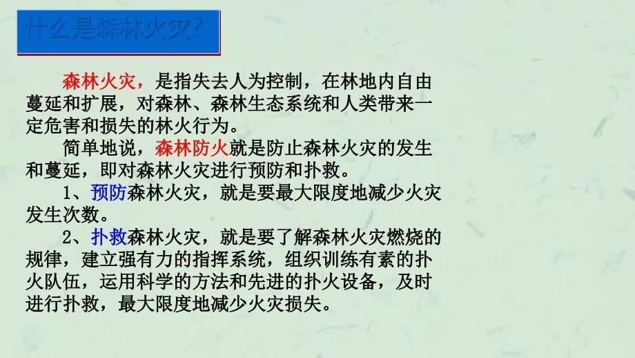 森林防火教育主题班会课件_第5页