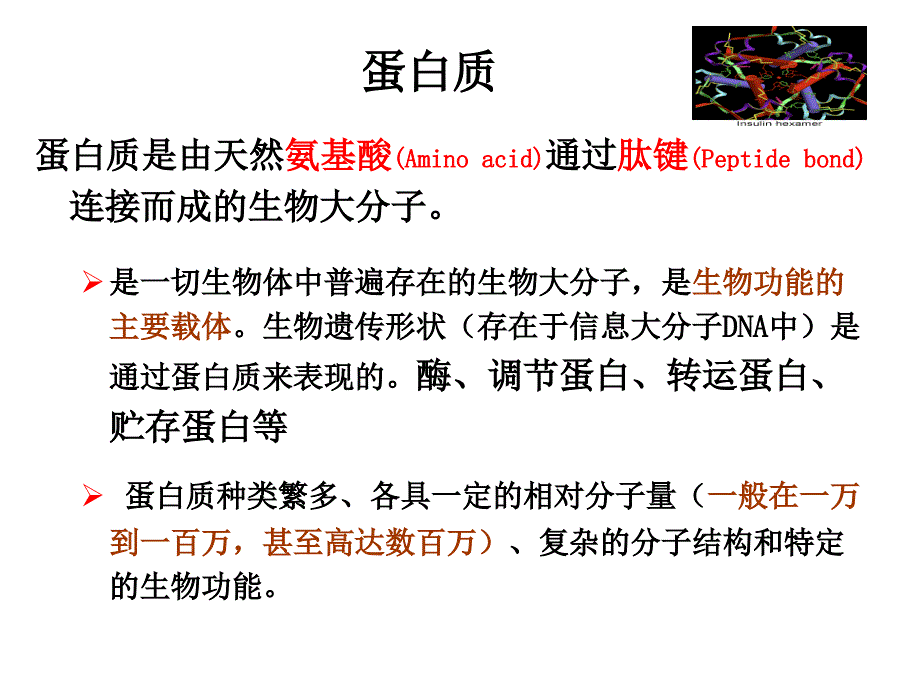 张忠版食品生物化学第5章蛋白质与核酸1ppt课件_第2页