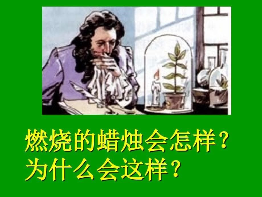 绿色植物与生物圈的碳－－氧平衡_第5页