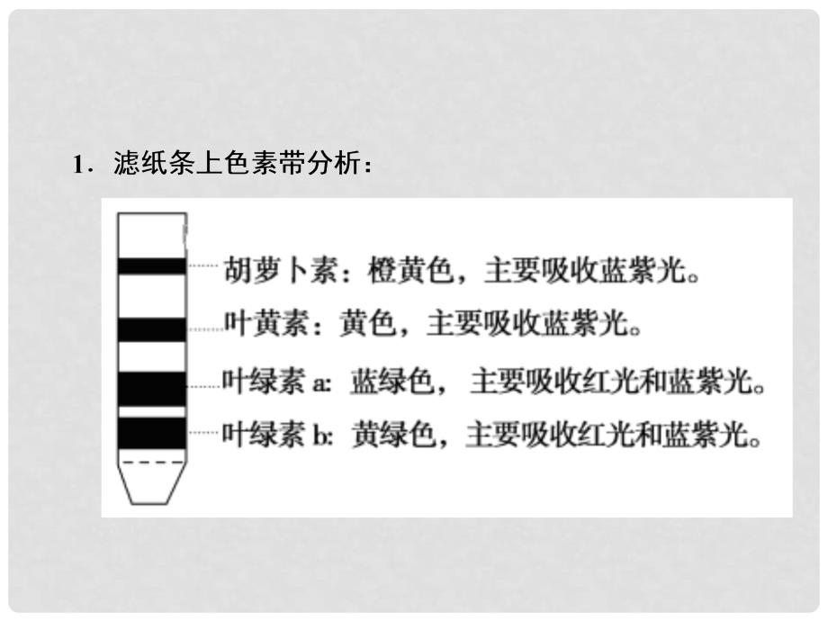 高考生物总复习 精彩三十三天（三十）光合作用与细胞呼吸2课件_第2页