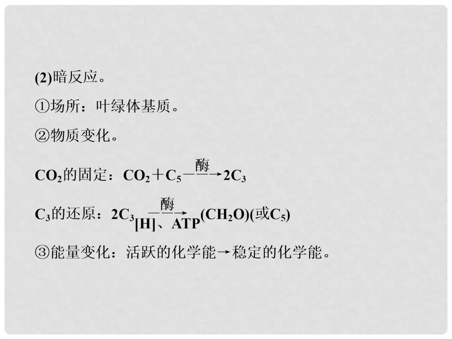 高考生物总复习 精彩三十三天（三十）光合作用与细胞呼吸2课件_第4页