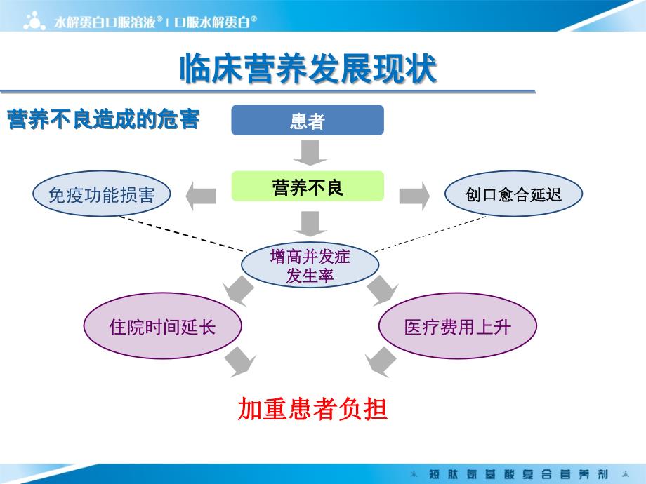 精品文档水解蛋白口服溶液_第4页