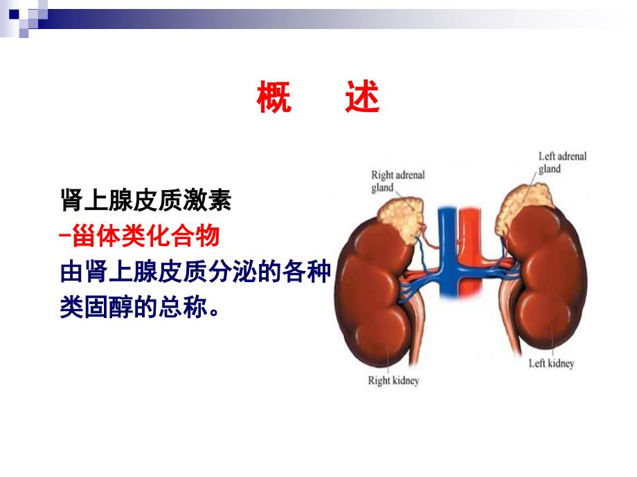 肾上腺皮质激素类药ppt课件_第2页