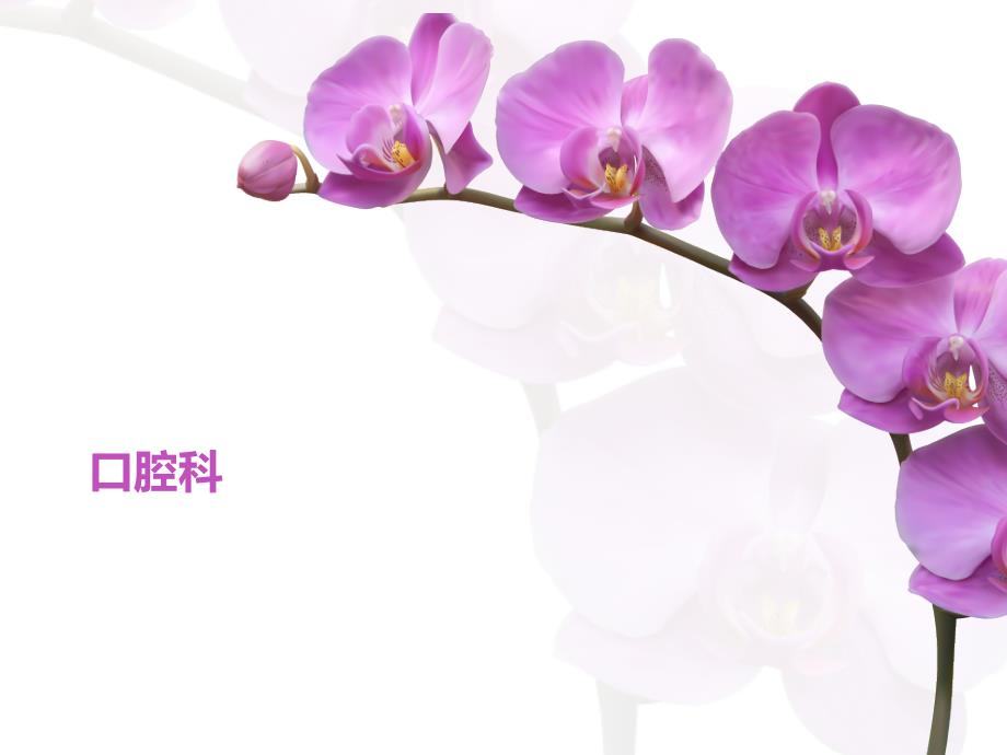 口腔科感染控制应关注的问题.ppt_第1页
