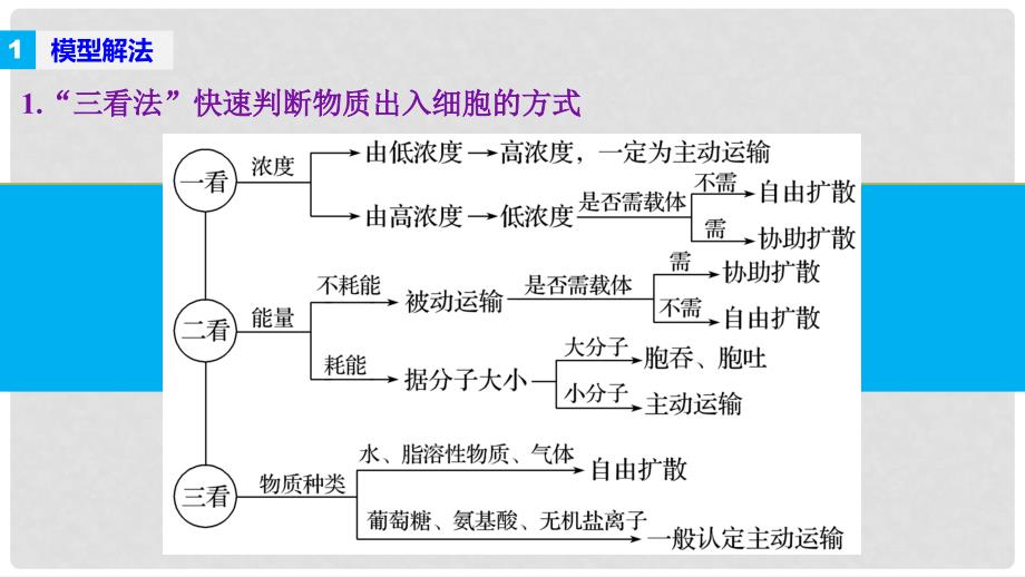 高考生物大二轮专题复习与增分策略 热点题型建模 模型2 分析判断物质出入细胞的方式课件_第2页