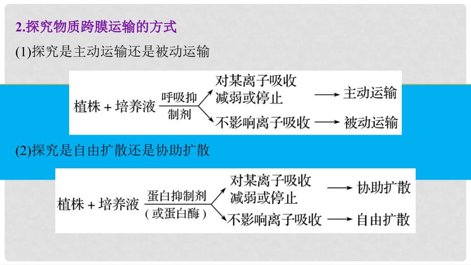 高考生物大二轮专题复习与增分策略 热点题型建模 模型2 分析判断物质出入细胞的方式课件_第3页